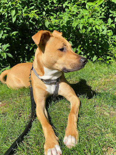 37 Church Hill Rd, Trumbull, CT 06611, USA