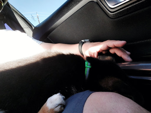 Pet Supply Store «Bradshaw Feed & Pet Supply», reviews and photos, 7285 Bradshaw Rd, Sacramento, CA 95829, USA