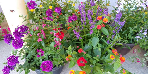 Grocery Store «Stop & Shop», reviews and photos, 334 NJ-31, Flemington, NJ 08822, USA