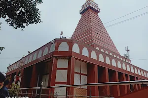 Maa Bhadrakali Temple image