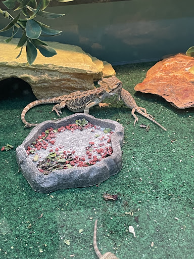 Pet Supply Store «Pet Supplies Plus», reviews and photos, 3820 Milan Rd, Sandusky, OH 44870, USA