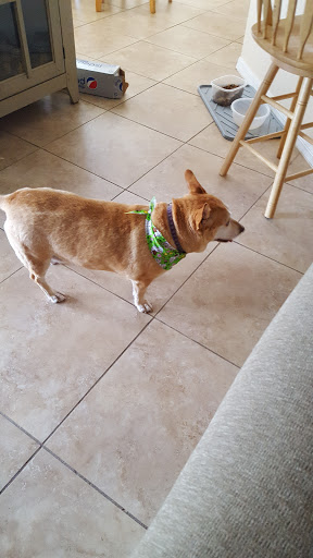 Magic Pet Parlor LLC