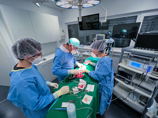 Tierärztliches Gesundheitszentrum Töging, Tierarzt Dr. (i.A. Klausenburg) K. Abaya unter Töging am Inn, 
