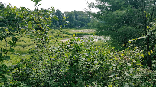 Nature Preserve «Lime Hollow Center for Environment and Culture», reviews and photos, 338 McLean Rd, Cortland, NY 13045, USA