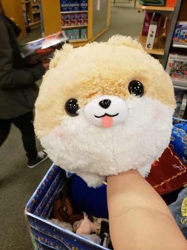 Book Store «Barnes & Noble Booksellers West Side», reviews and photos, 3701 Ellison Dr NW, Albuquerque, NM 87114, USA