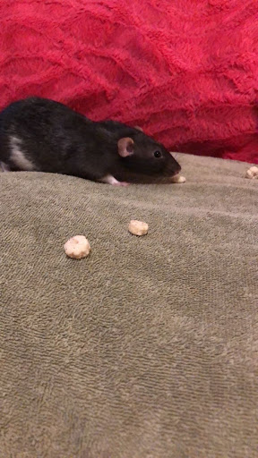 13438 IN-114, Akron, IN 46910, USA