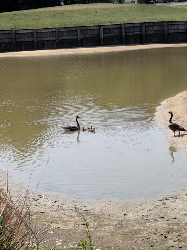 Golf Course «Wood Creek Golf Course», reviews and photos, 9080 Executive Club Dr, Delmar, MD 21875, USA