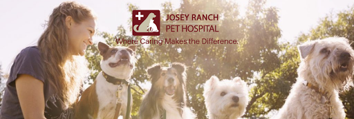 2150 N Josey Ln #106, Carrollton, TX 75006, USA