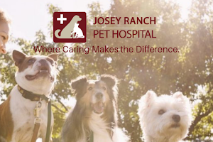 Josey Ranch Pet Hospital image