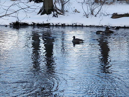 Park «Back Bay Fens», reviews and photos, 100 Park Dr, Boston, MA 02215, USA