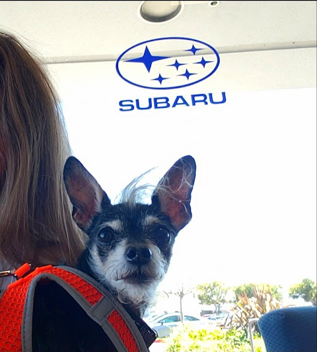 Kirby Subaru of Ventura image