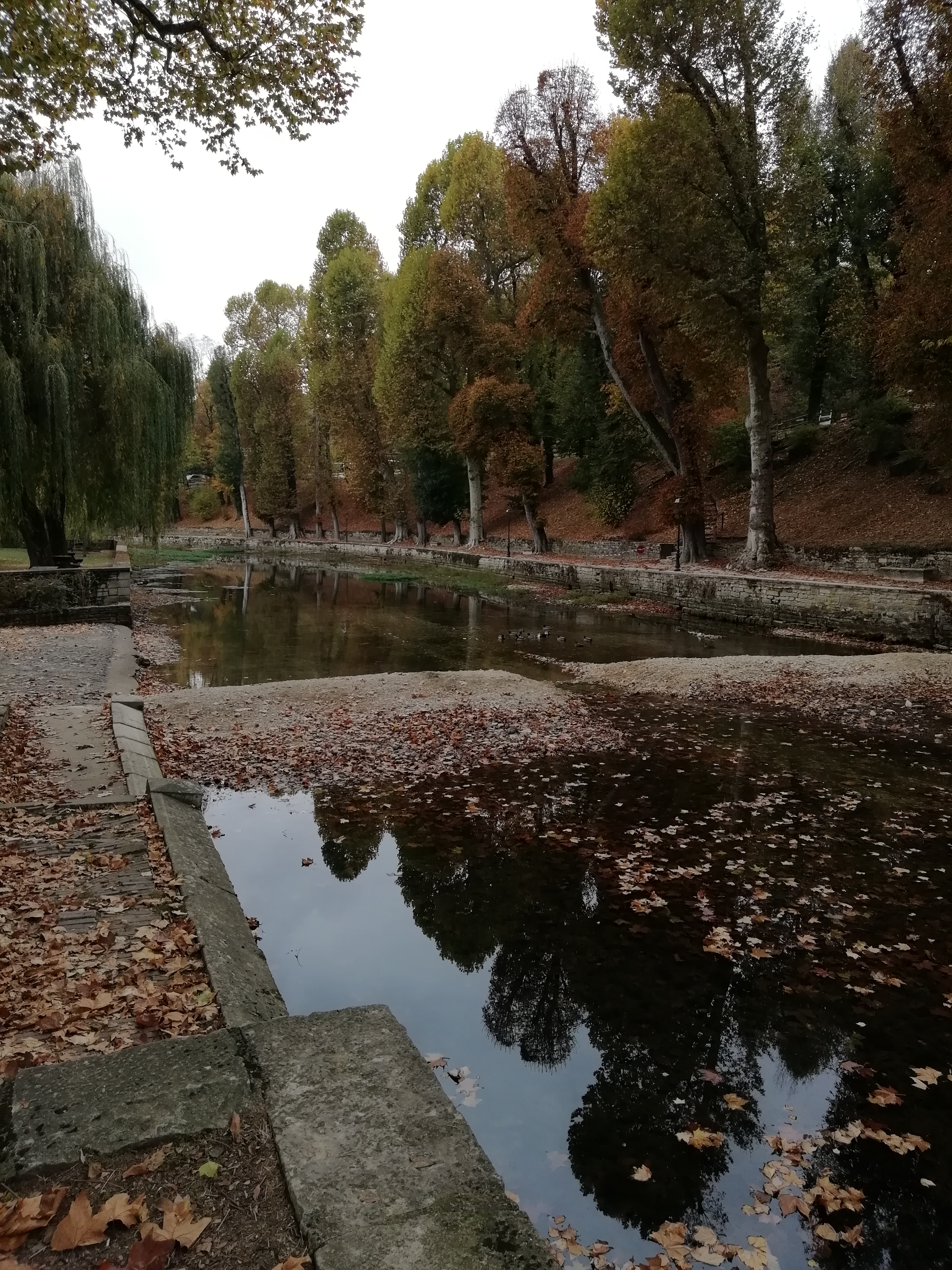 Photo n° 3 de l'avis de Silvere.e fait le 07/12/2017 à 18:36