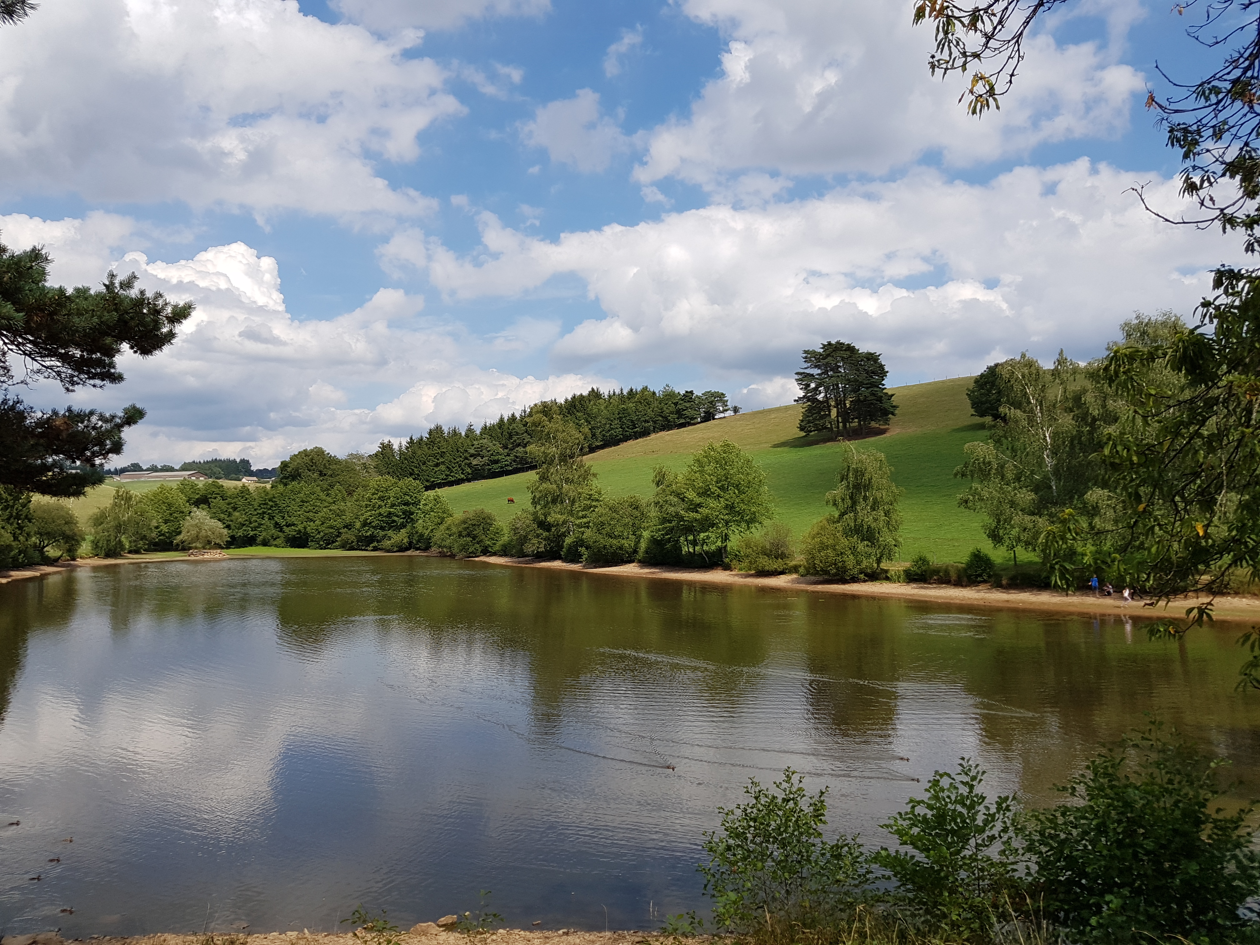 Photo n° 2 de l'avis de P.3 fait le 13/09/2019 à 19:26