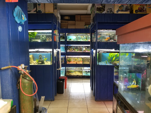 Pet Store «Fosters Exotic Pet Center», reviews and photos, 40116 US Hwy 19 N, Tarpon Springs, FL 34689, USA