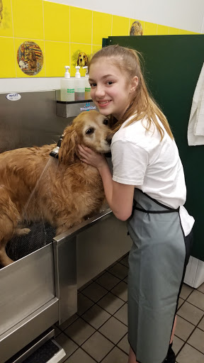 Pet Supply Store «Pet Supplies Plus», reviews and photos, 2433 MacArthur Rd, Whitehall, PA 18052, USA