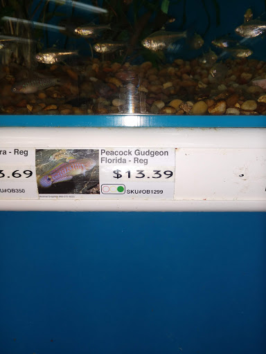 Pet Supply Store «Pet Supermarket», reviews and photos, 3821 S Cobb Dr, Smyrna, GA 30080, USA