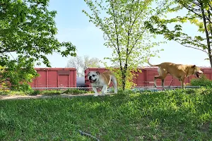 Victory Prairie Off-Leash Recreation Area image