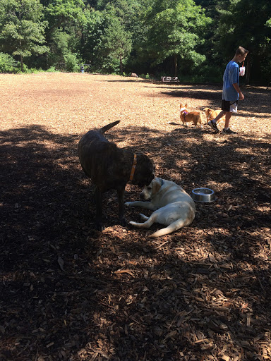 Dog Park «Sharon Dog Park», reviews and photos, 34 E Foxboro St, Sharon, MA 02067, USA