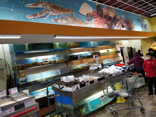 Asian Grocery Store «Great Wall Supermarket», reviews and photos, 700 Hungerford Dr, Rockville, MD 20850, USA