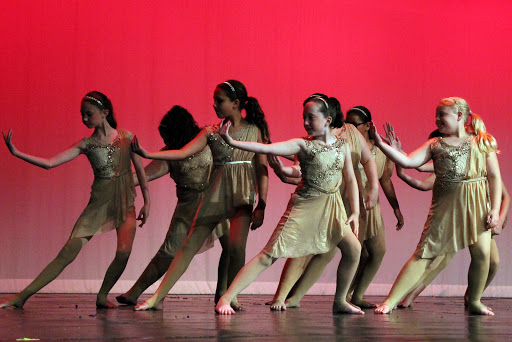 Dance School «Millennium Dance Center», reviews and photos, 455 Kehoe Blvd, Carol Stream, IL 60188, USA