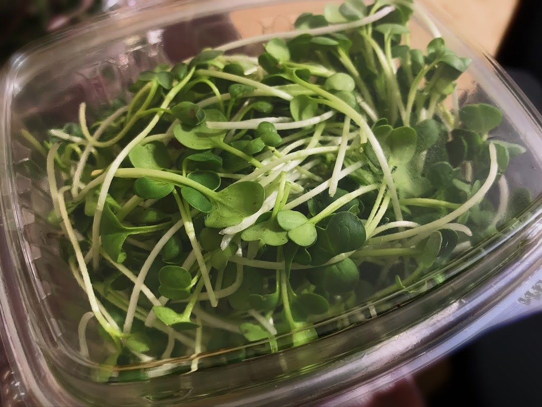 Microgreens and Blend - True Greens Style