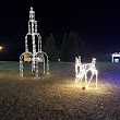 Forest City Christmas Lights