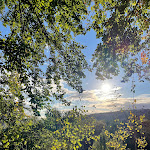 Photo n°7 de l'avis de FeWo.e fait le 13/10/2021 à 13:13 sur le  Baumhaushotel Solling GmbH à Uslar