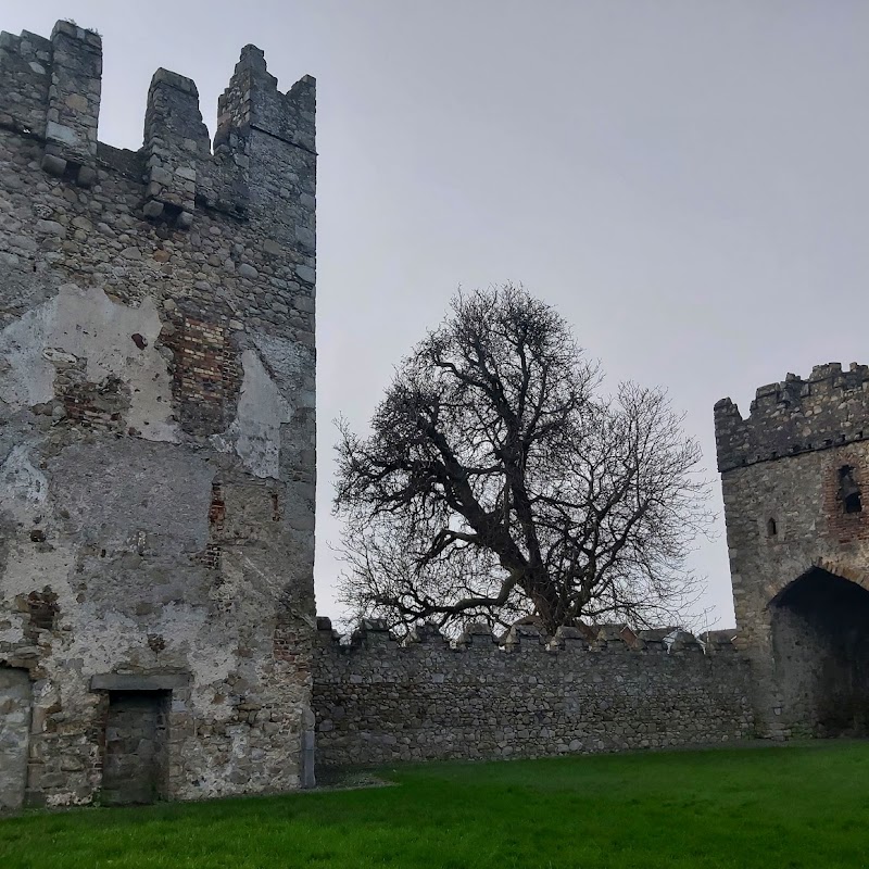 Monkstown Castle