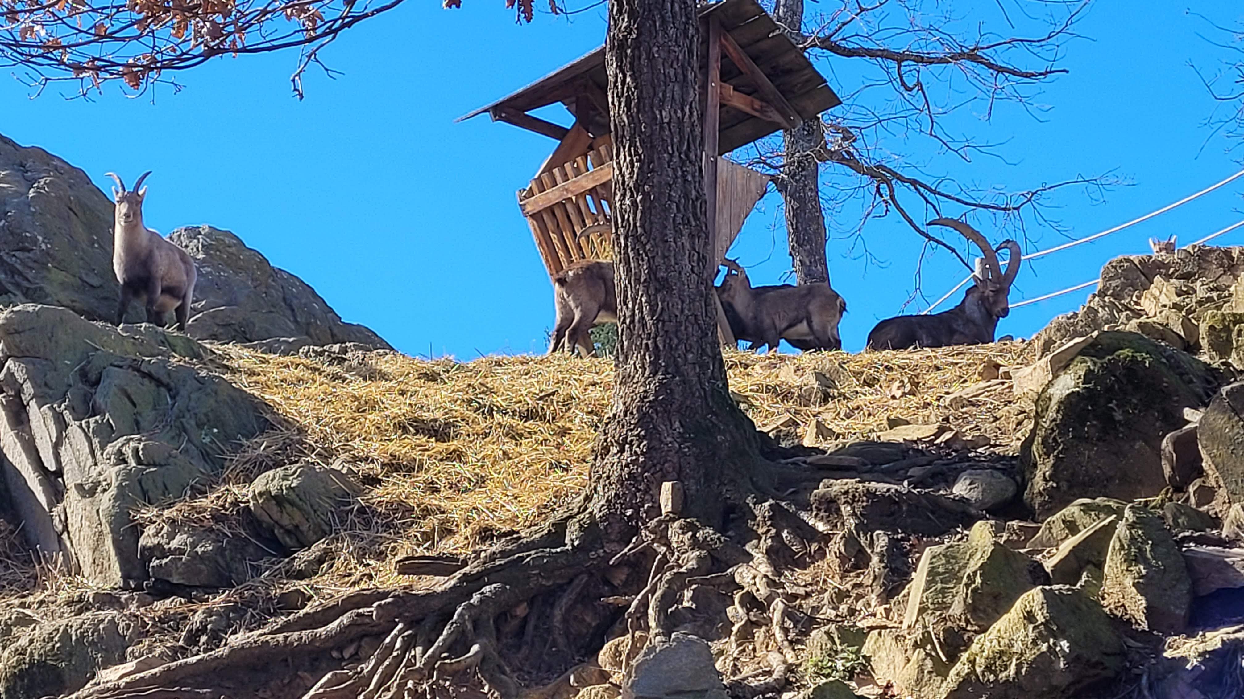 Photo n° 14 de l'avis de Marvin.e fait le 17/02/2022 à 16:26