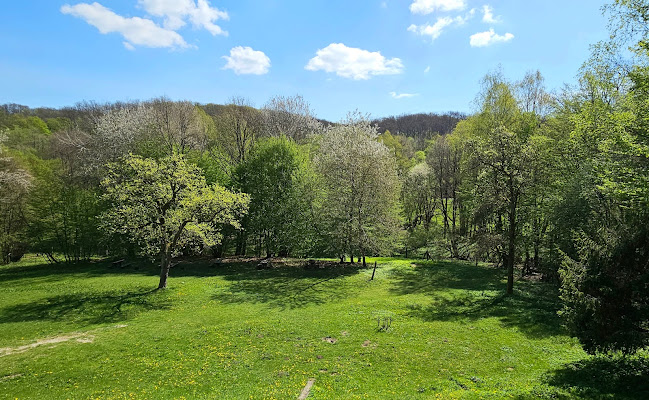 Csanyiki Erdei iskola