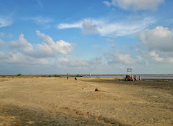 Foto di Point Calimere Beach zona selvaggia