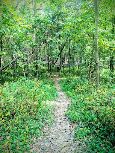 Adventure Sports «Edge Adventure Parks», reviews and photos, 11800 Koteewi Dr, Noblesville, IN 46060, USA