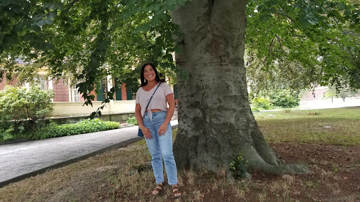 Museum «New Bedford Museum of Glass», reviews and photos, 61 Wamsutta St, New Bedford, MA 02740, USA