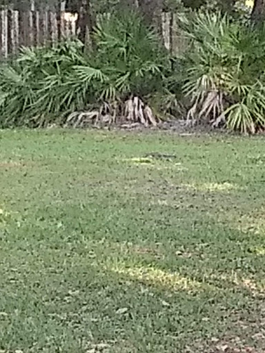 Park «Boston Hill Park», reviews and photos, 777 S Central Ave, Oviedo, FL 32765, USA