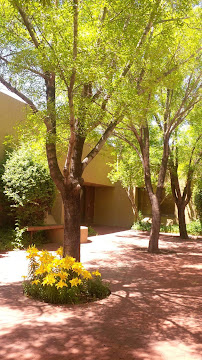 Botanica Skin & Brow Studio - Photo 8 - Car repair in Albuquerque, NM, Albuquerque