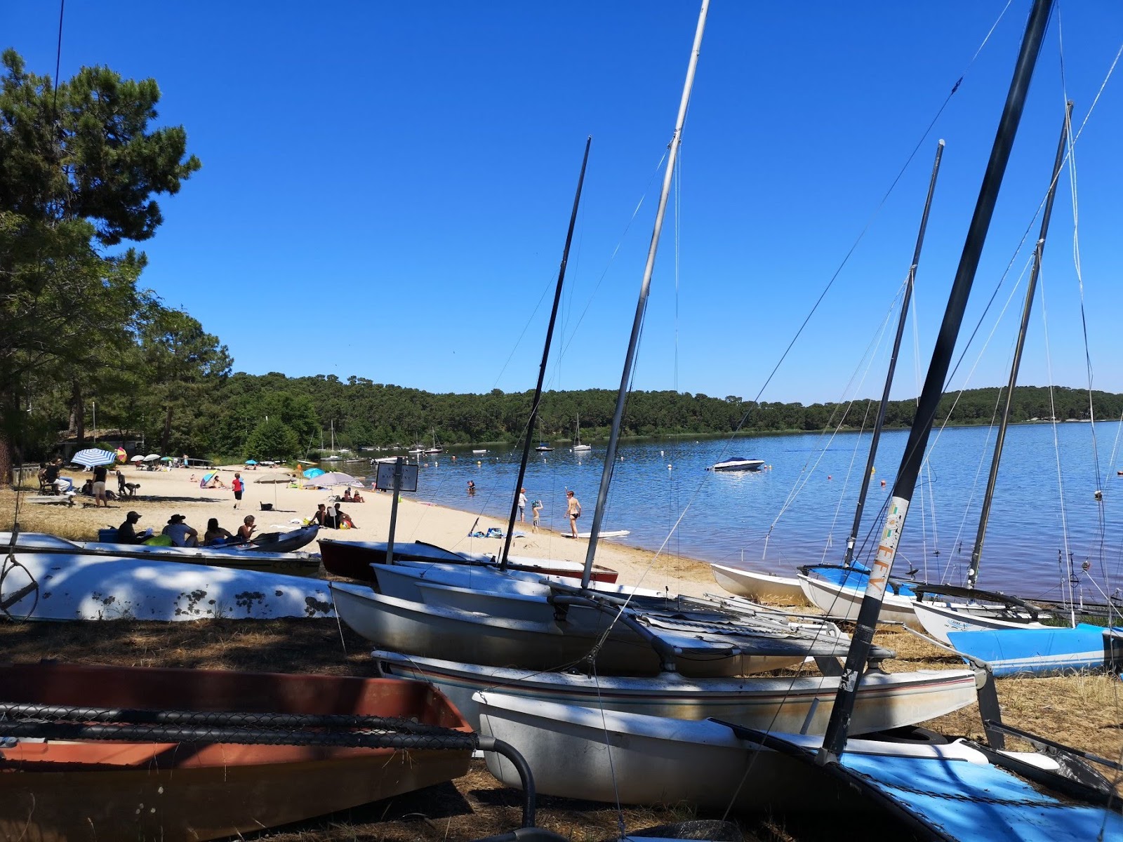 Foto di Plage de la Grande Escoure e l'insediamento