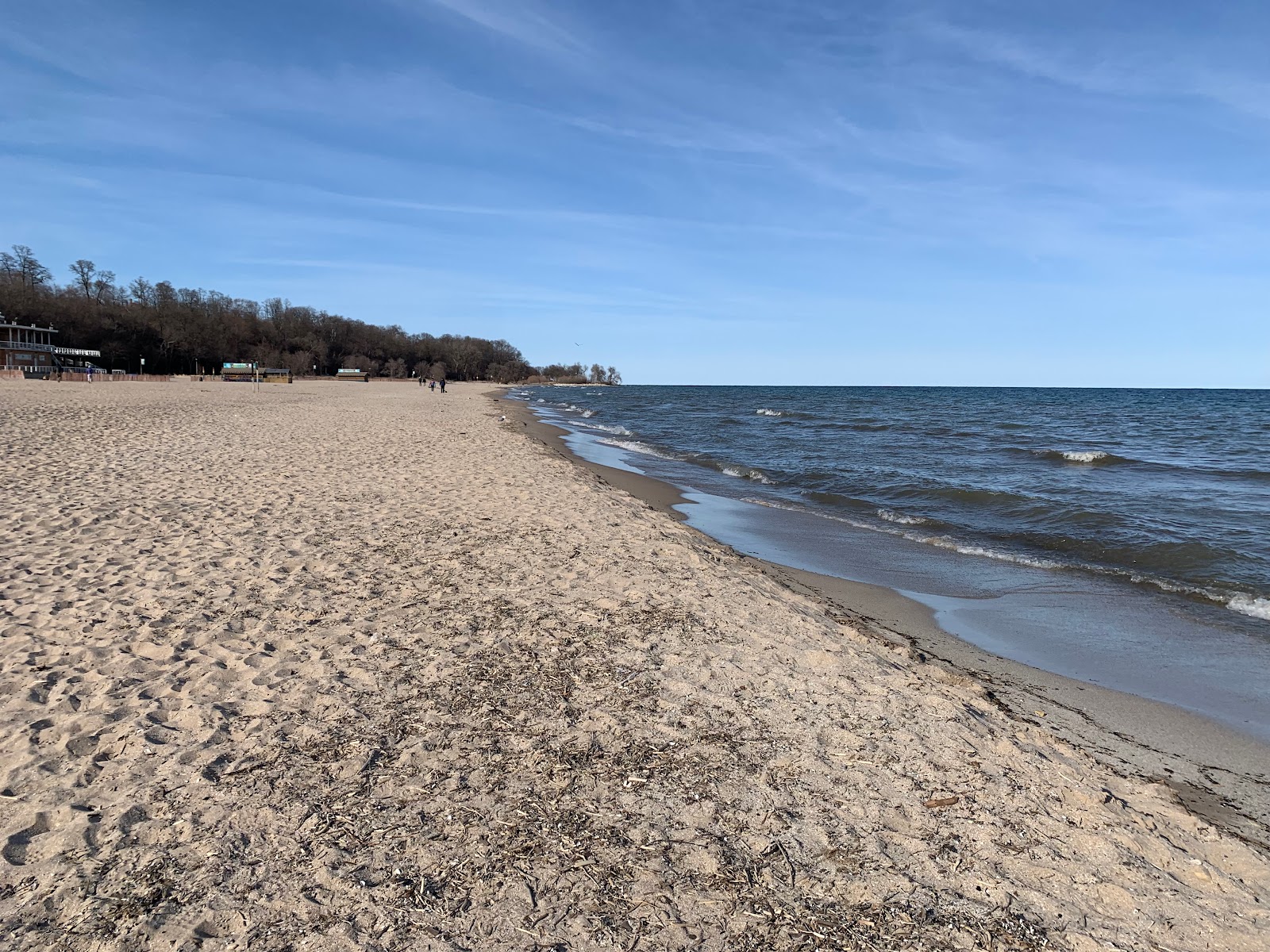 Foto van Bradford Beach wilde omgeving