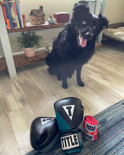 Boxing Gym «TITLE Boxing Club South Tampa», reviews and photos, 4212 Henderson Blvd, Tampa, FL 33629, USA