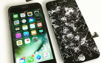 Cocoriphone à Marseille