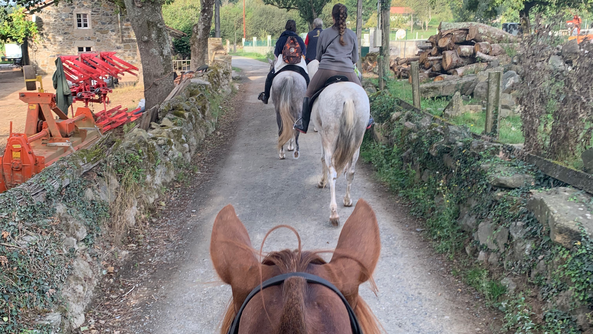 The Pilgrim Horse camino de Santiago a caballo