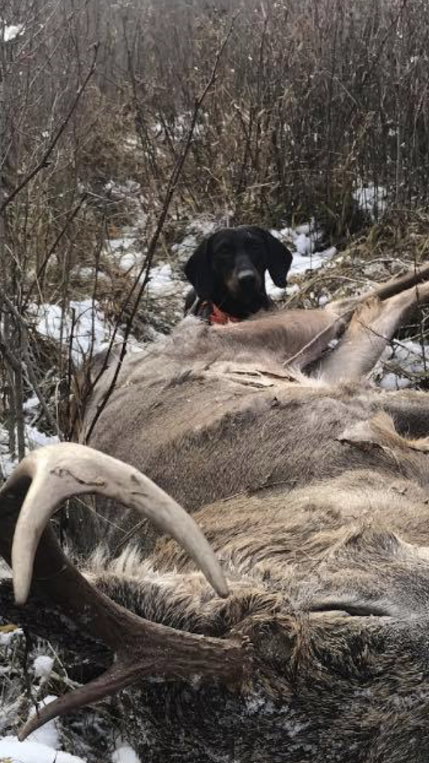 Judson’s Deer Tracking