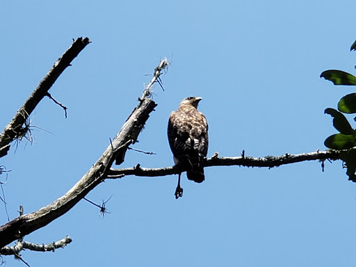 Community Center «University Area Community Center», reviews and photos, 14013 N 22nd St, Tampa, FL 33613, USA