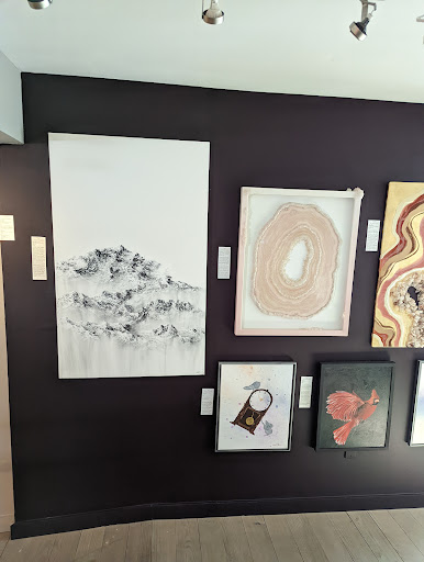 Art Gallery «Art For The People Gallery», reviews and photos, 1711 S 1st St, Austin, TX 78704, USA