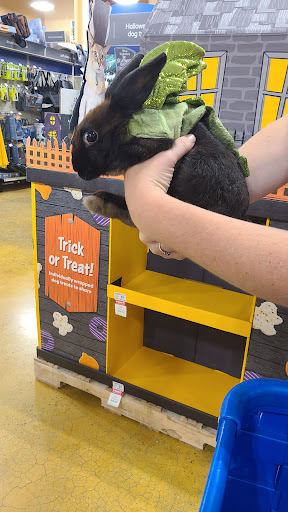 Shopping Mall «Northgate Mall Tullahoma», reviews and photos, 1600 N Jackson St, Tullahoma, TN 37388, USA