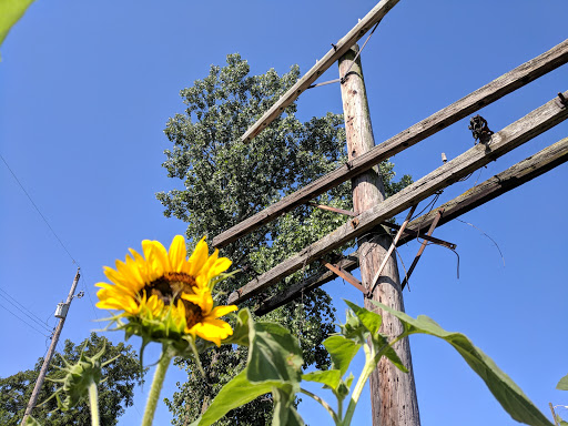 Shopping Mall «Great Western Shopping Center», reviews and photos, 240 N Wilson Rd, Columbus, OH 43204, USA