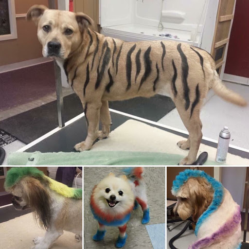 Happy Paws Pet Grooming