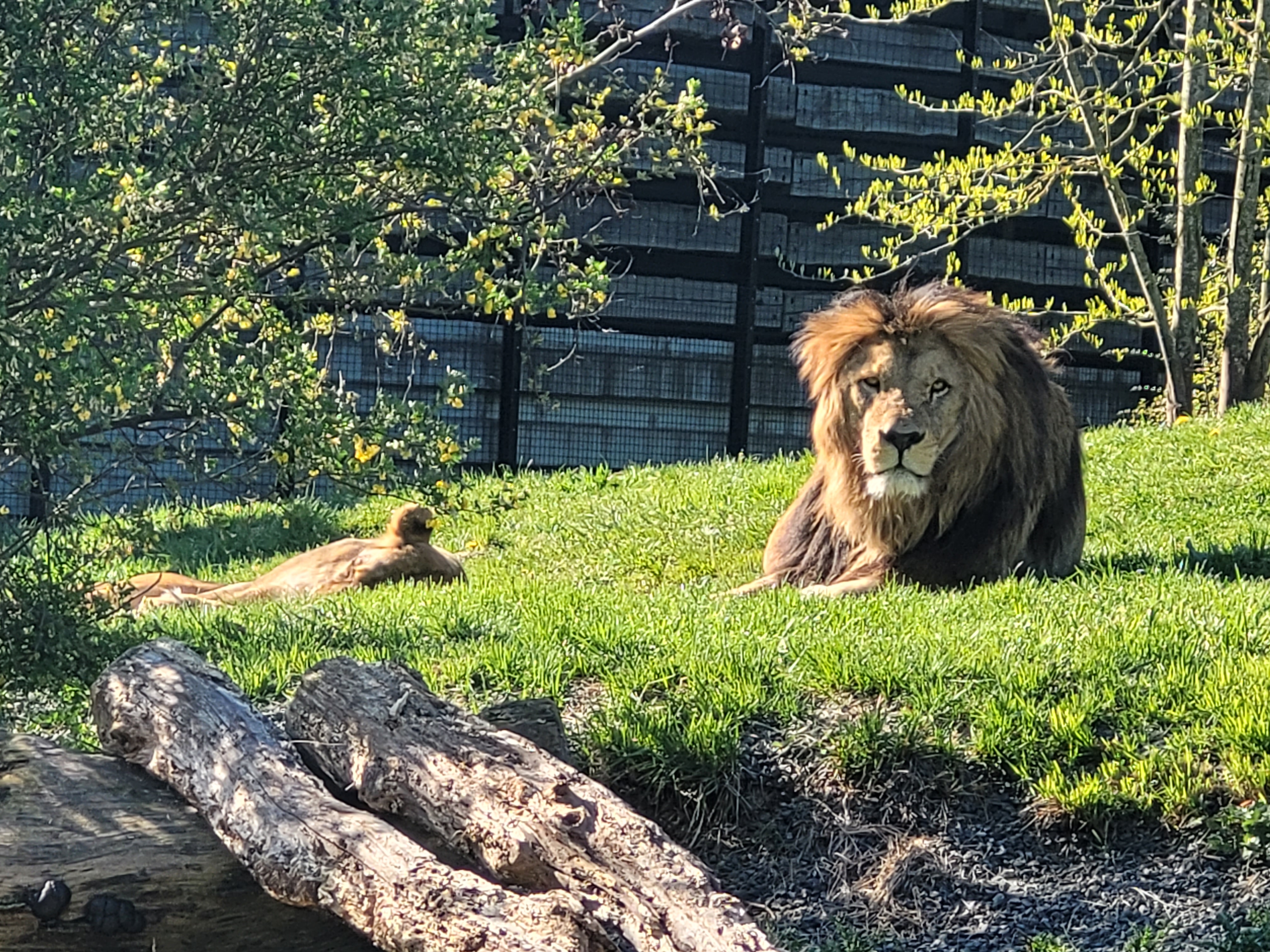 Photo n° 6 de l'avis de Nathalie.o fait le 17/04/2022 à 11:27