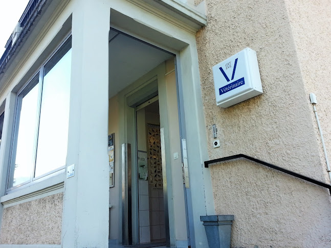 Cabinet vétérinaire de l'Europe - Martigny