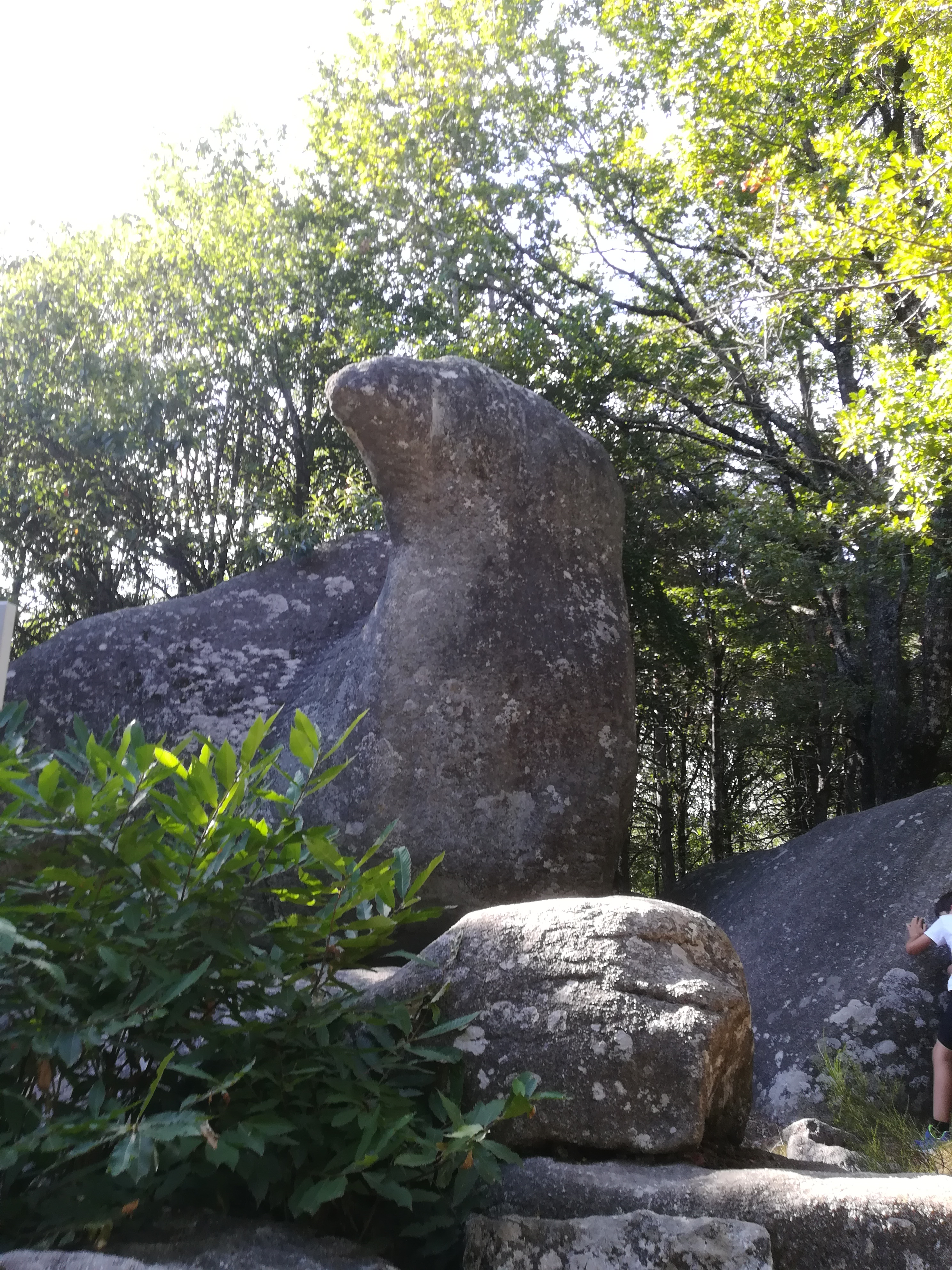 Photo n° 1 de l'avis de Cédric.o fait le 20/08/2019 à 17:55
