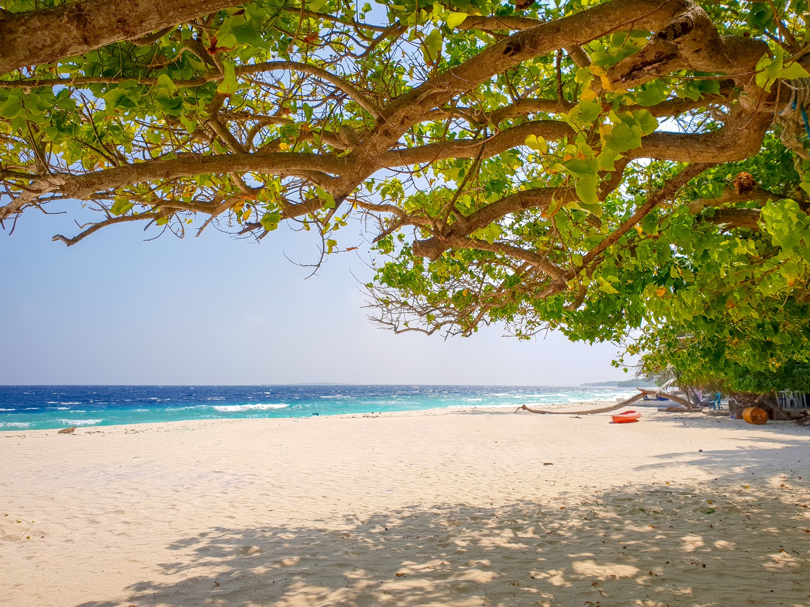 Fotografija Kendhoo Office Beach z svetel pesek površino